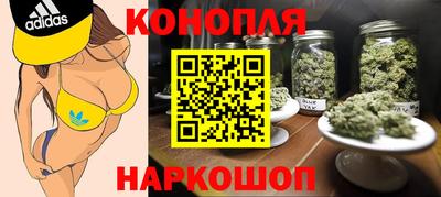 стаф Бугуруслан