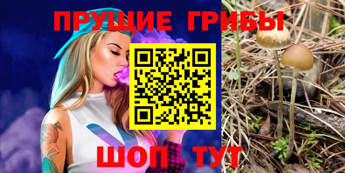 Ртищево  Галлюциногенные грибы мухоморы  Вход с VPN  Псилоцибиновые грибы Psilocybe 
