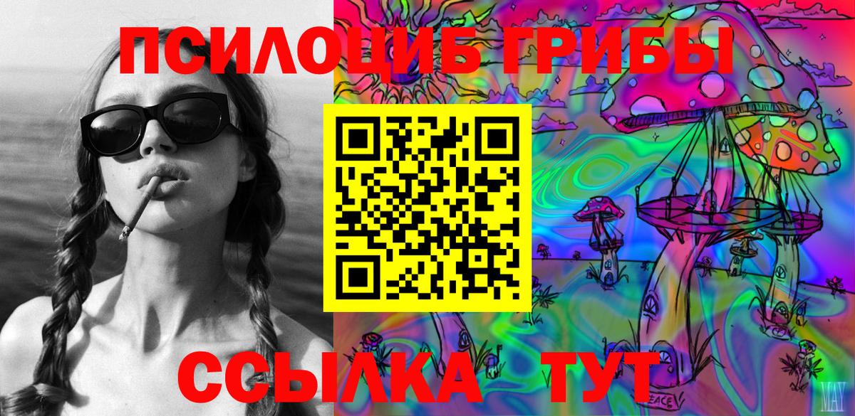 Псилоцибиновые грибы Psilocybe Ртищево